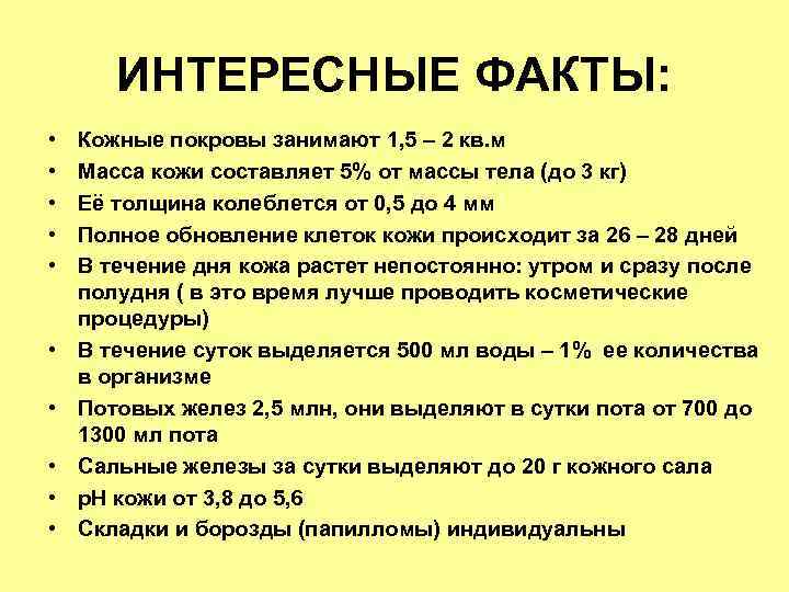 Вес кожи человека составляет от 4 до 6 % от всей массы тела – у взрослого человека в среднем 4,5 килограмма