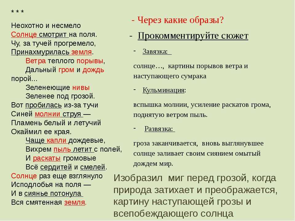 К чему снится поле