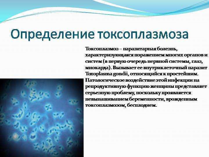 Торч (torch-инфекции)