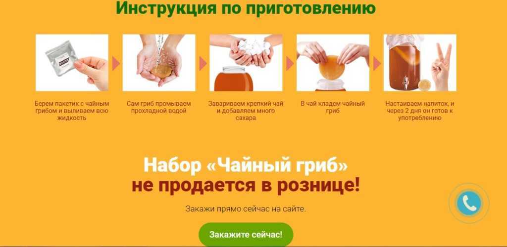 Чайный гриб — 8 полезных свойств, а также противопоказания комбучи для организма человека