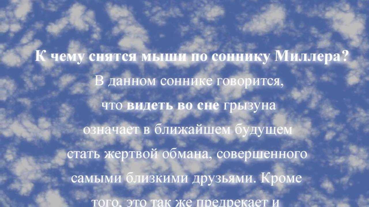 К чему снятся мыши: много маленьких серых, белые, кот и мышки