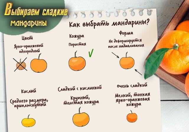 К чему снится застолье: предсказания в зависимости от места, времени и компании человека