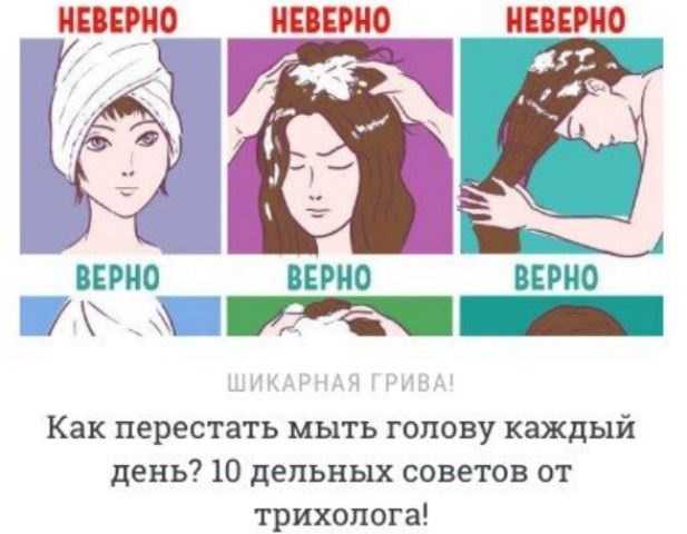 Что будет, если перестать мыть голову шампунем? :: инфониак