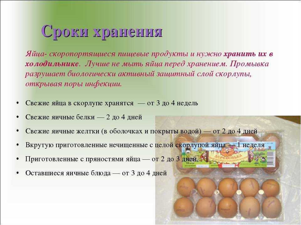 Можно ли мыть яйца перед хранением в холодильнике?