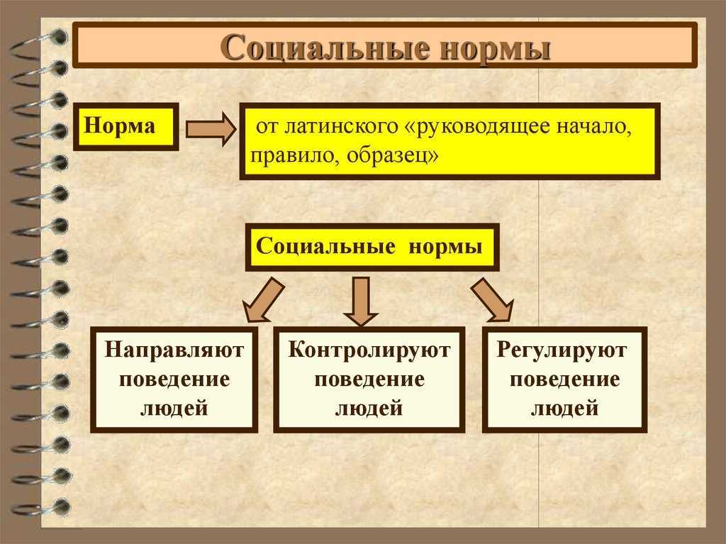 Социальные нормы - учительpro