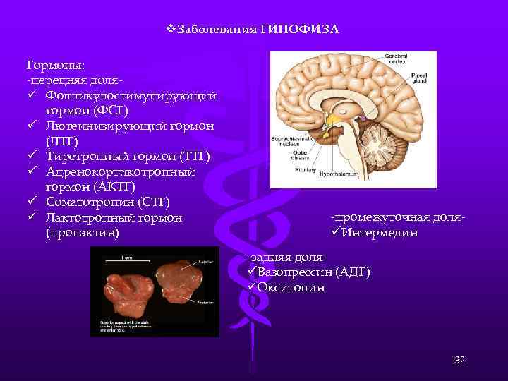 65. человек и его здоровье
                                читать 0 мин.