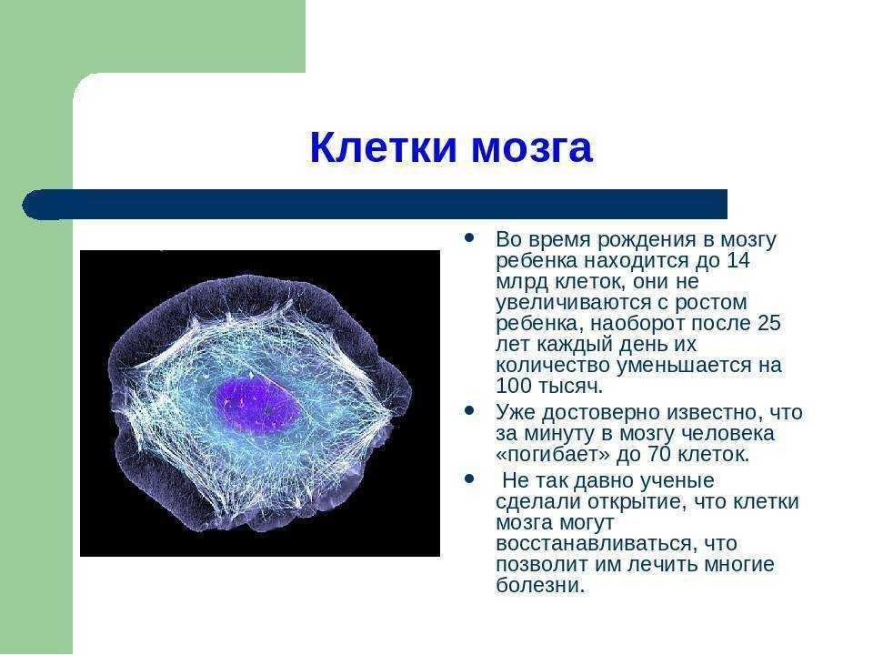 Лечение ожирения