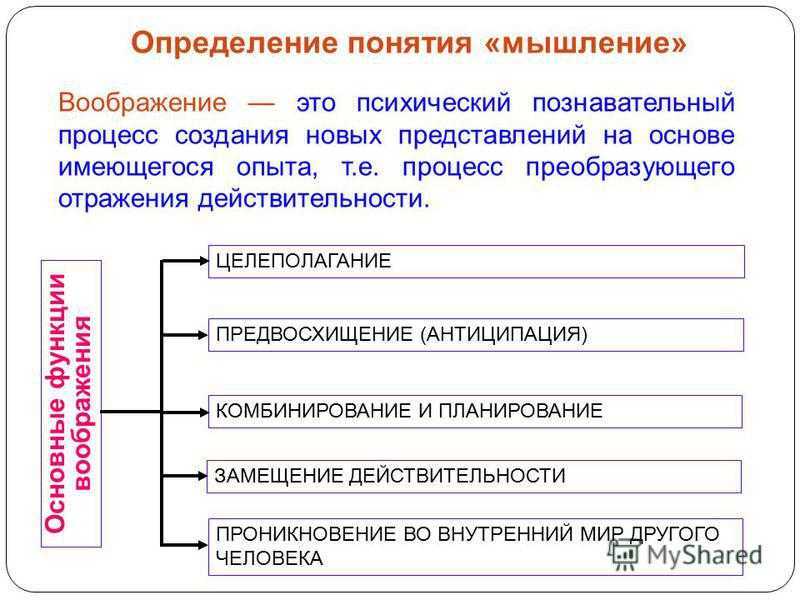 Классификация воображения в психологии по видам и свойствам