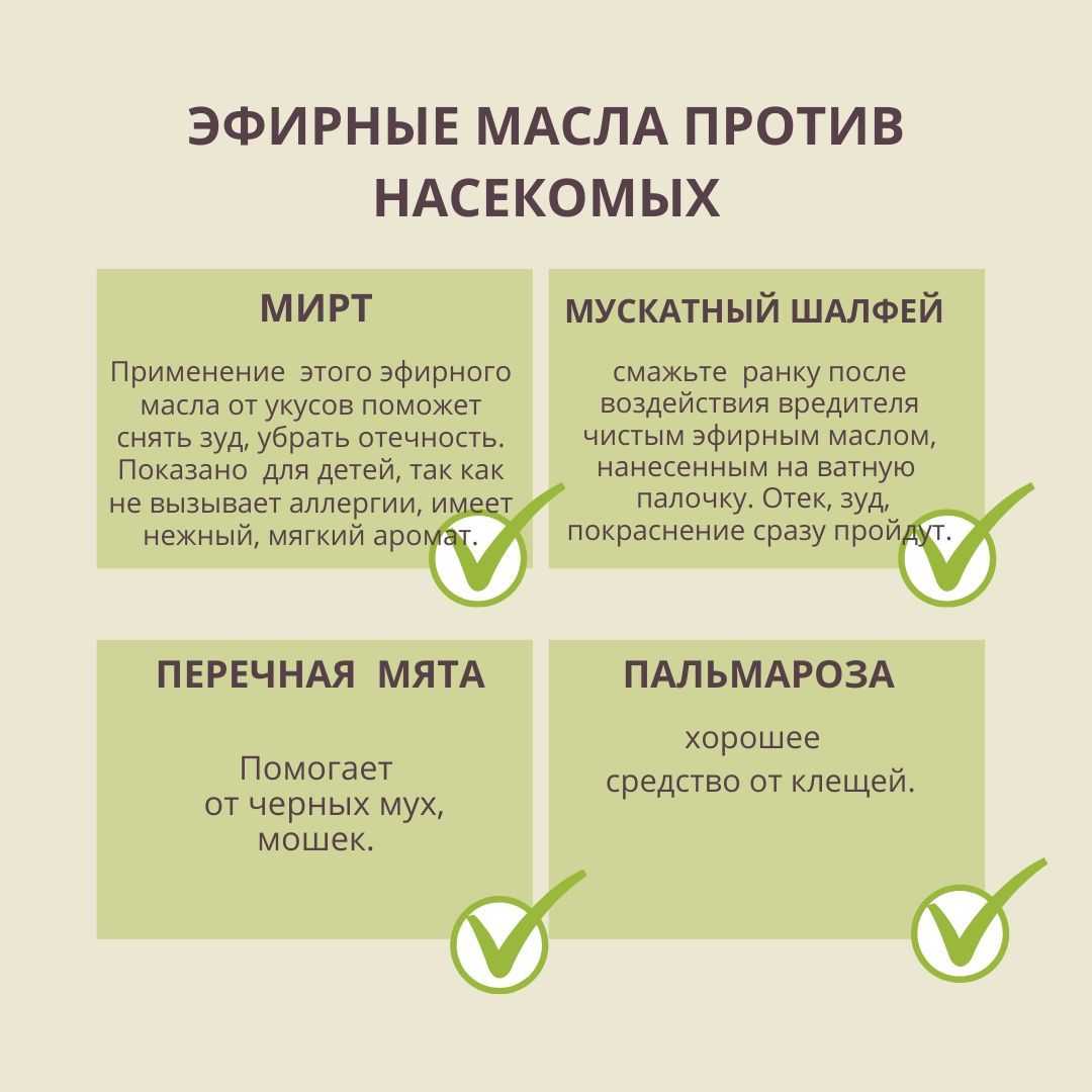 Эфирные масла для волос: 9 лучших, их свойства и применение