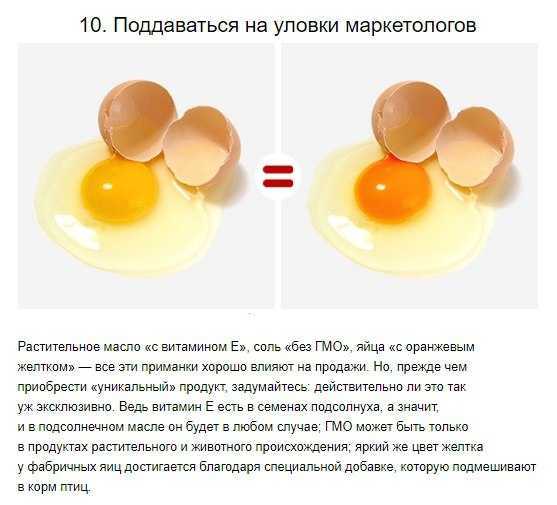 От чего зависит цвет желтка яйца Влияет ли цвет на качество и вкусовые свойства яйца Какие яйца полезнее - с желтком поярче или побледнее