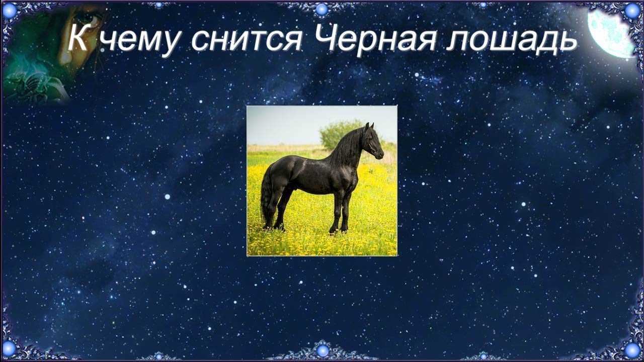 К чему снится черный конь