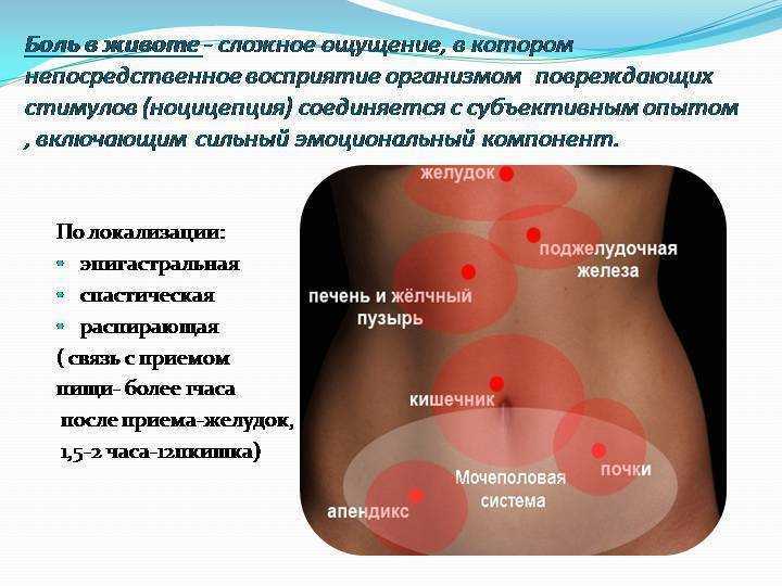 Болит живот - причины, лечение и диагностика болей в животе - медком