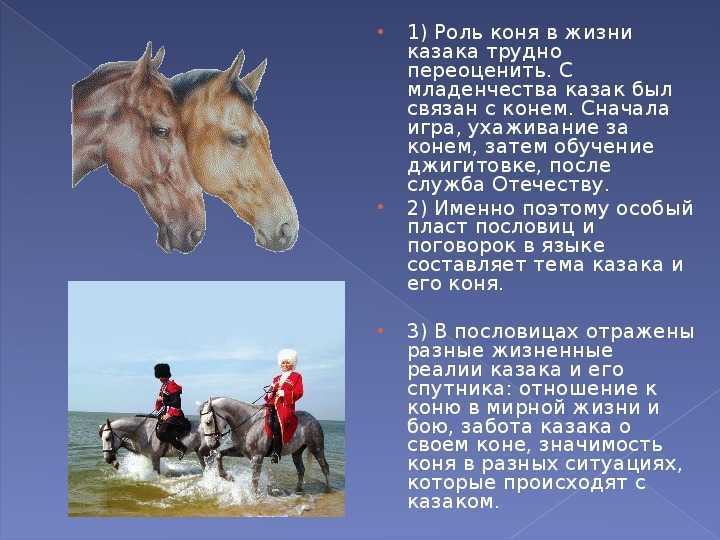 К чему снится лошадь - что означает такое сон? - толкование сна по сонникам