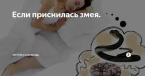 Мужчине приснилось змея