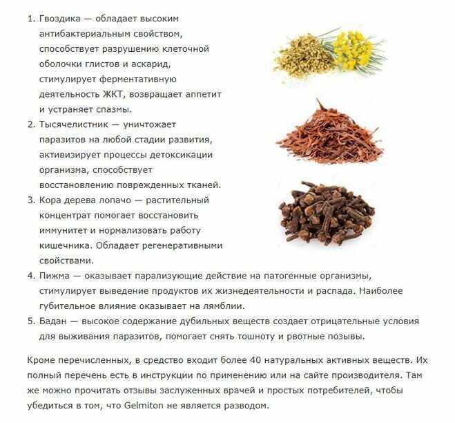 Гельминтозы, передающиеся через рыбу и рыбные продукты