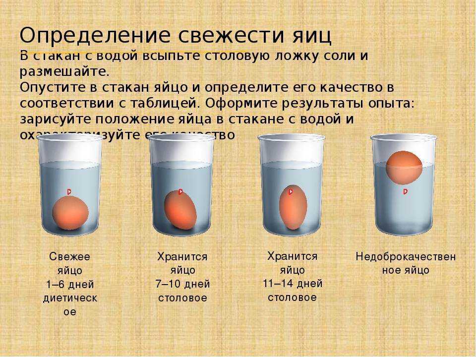 Что означают во сне сырые куриные яйца — трактования по 42 сонникам
