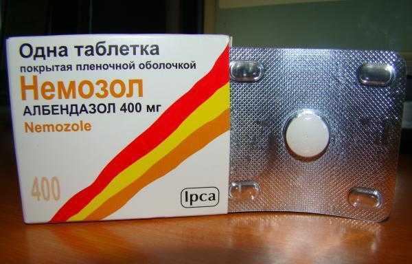 Подверженность влиянию паразитов зависит не только от тщательного соблюдения гигиены, но во многом от образа жизни и состояния организма