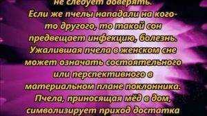 К чему снятся пчелы: женщине, девушке, мужчине, беременной, в улье, кусают, жужжат