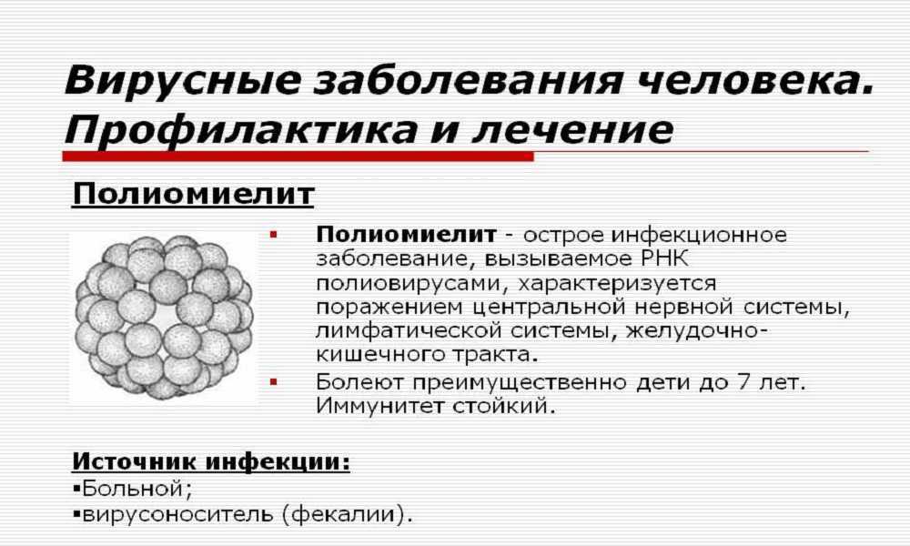 Инфекционные болезни: причины, симптомы, диагностика и лечение | медицинский центр инпромед
