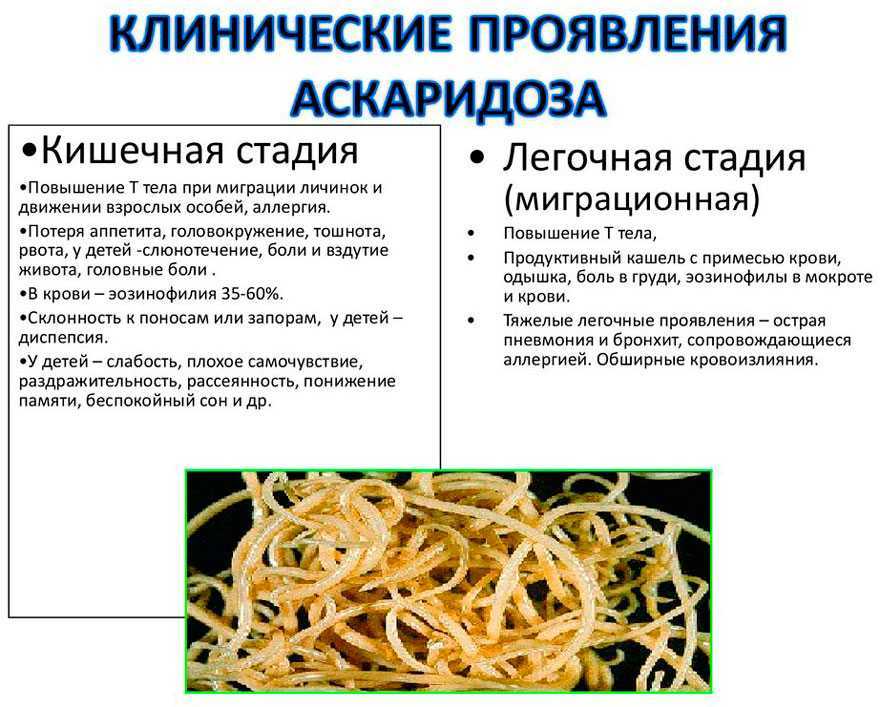 ? как избавиться от глистов? ~?глистная инвазия?