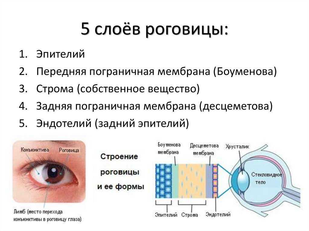 Травмы глаза – лечение и симптомы при кровоизлияниях, ранениях роговицы и других повреждениях