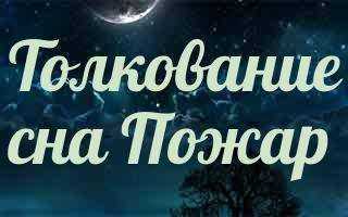 Видеть во сне пожар: толкование по 55 сонникам