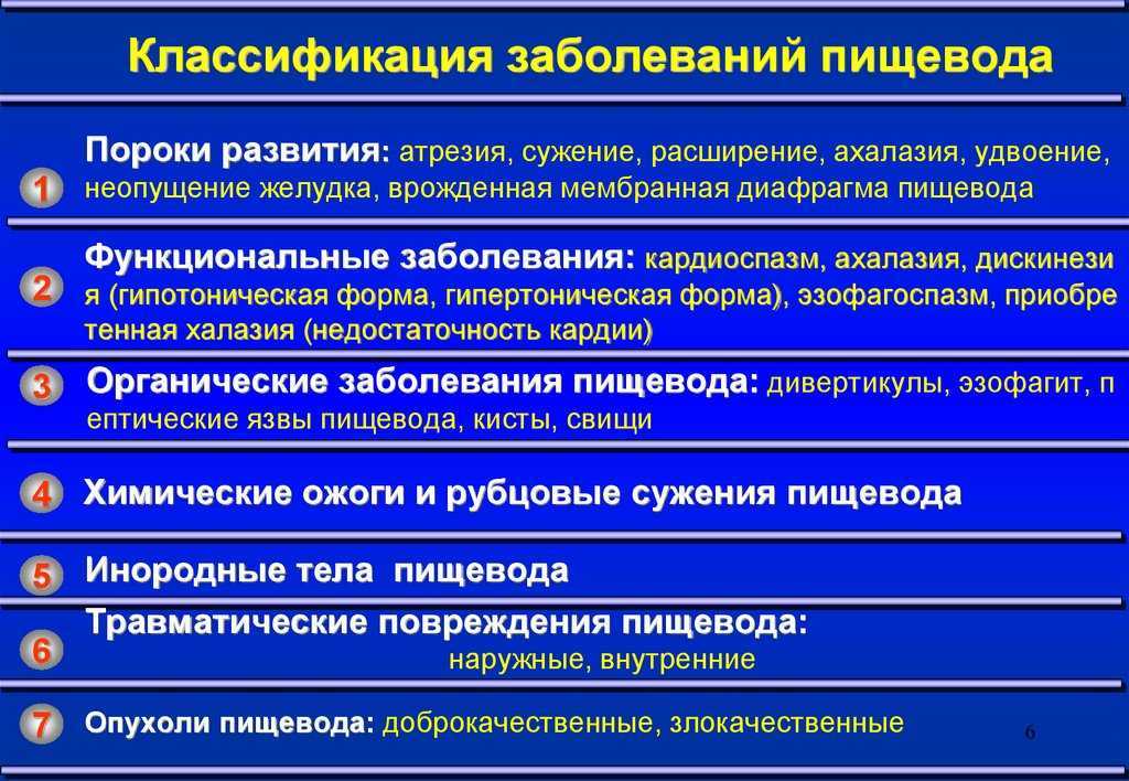 Пищевод