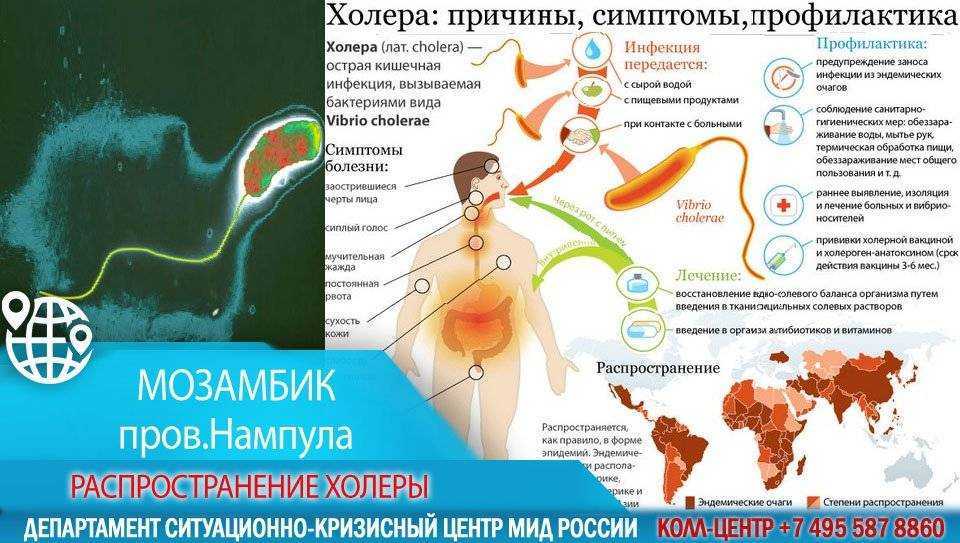 Холера: причины, симптомы, лечение, диагностика и профилактика