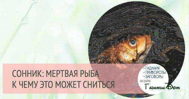 К чему снится рыба