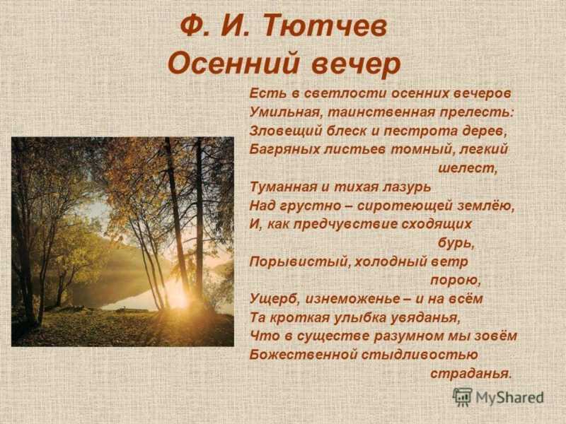 Сонник осень желтые