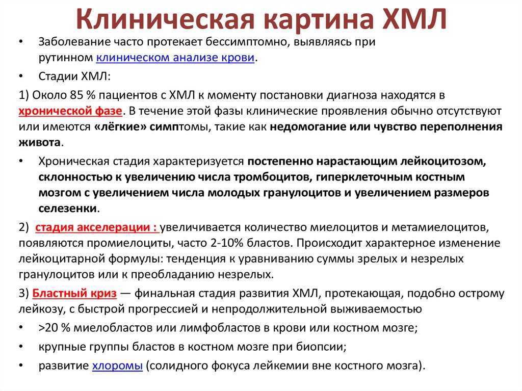 Хронический лейкоз у взрослых