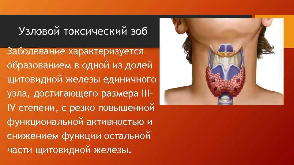 Эндокринолог – что лечит врач, приём и консультация