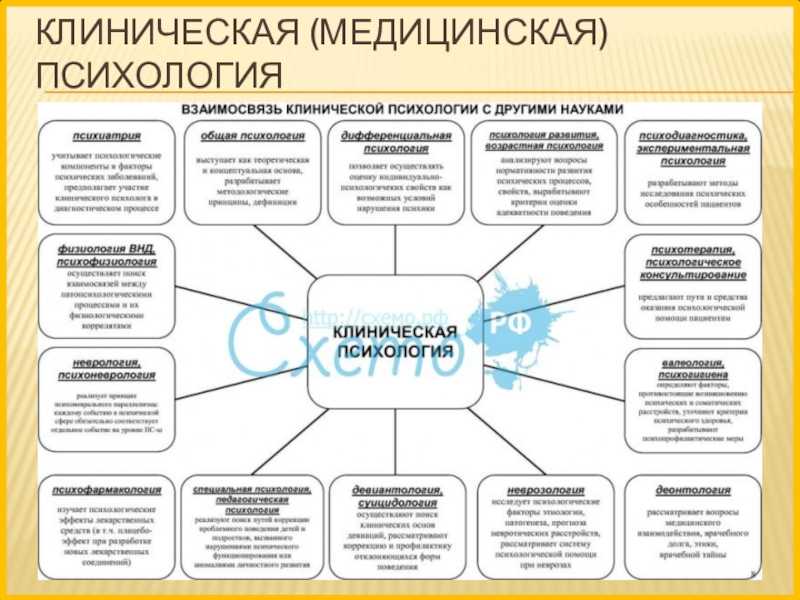 Психология и её связь с другими науками. реферат. психология. 2010-12-23