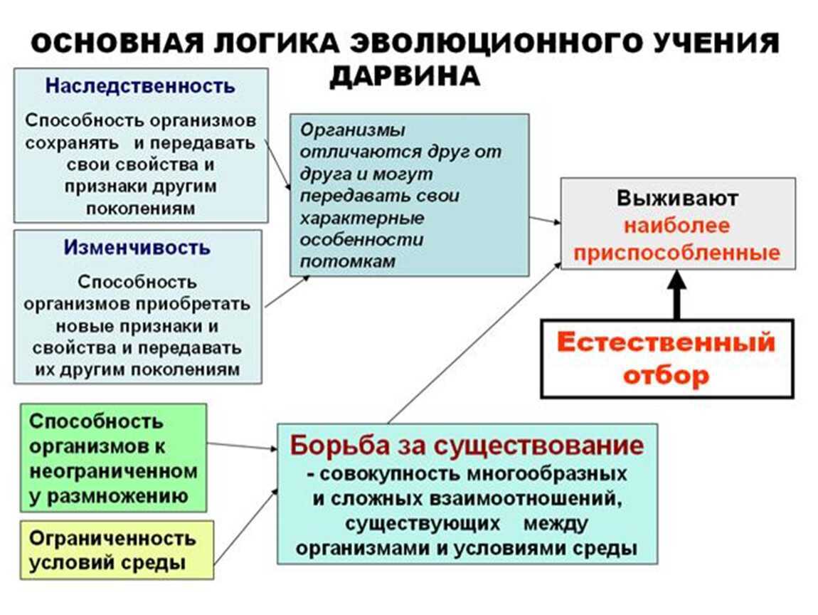 Привязанность – что это такое, ее типы, как отличить любовь от привязанности?