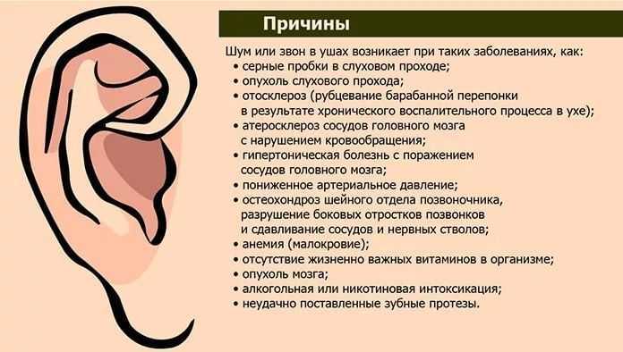Почему в голове шумит? что делать, как лечить, как избавиться – эл клиника