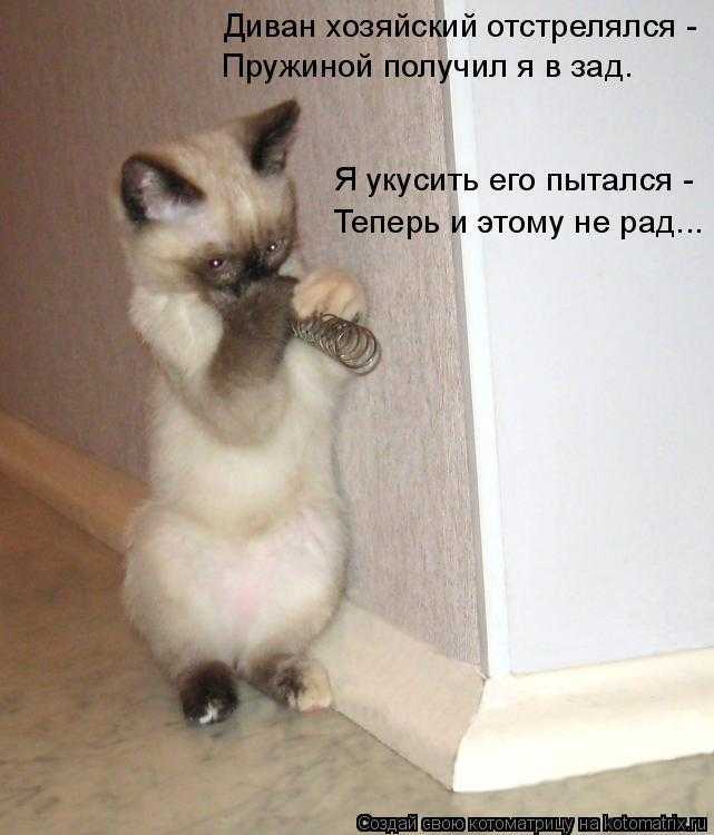 Как определить женщину с сильной энергетикой?