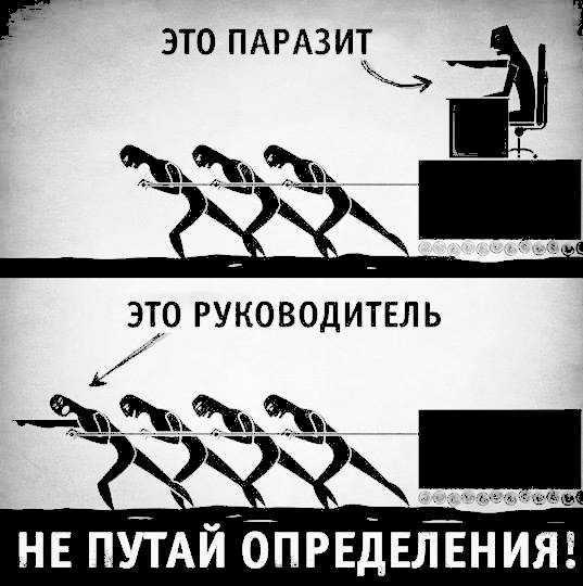 Кто такой аутсайдер. кто такой аутсайдер и его позиция в социальной группе