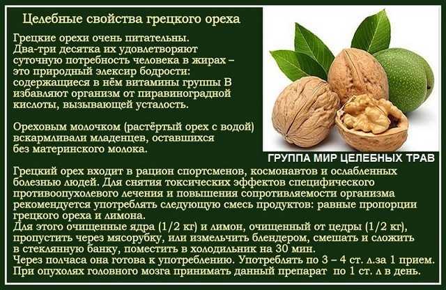 Антиоксиданты и антигипоксанты: действие и отличие, обзор препаратов и природных веществ