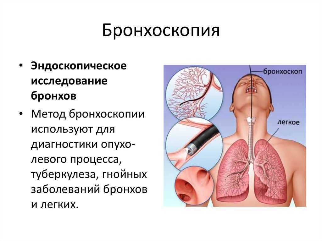 Лабораторные и инструментальные методы исследования органов дыхания