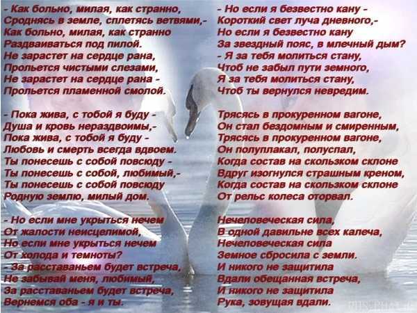 Сновидения про цветы: к чему снится желтый цветок, значение сна про сад, яркие растения или букет роз