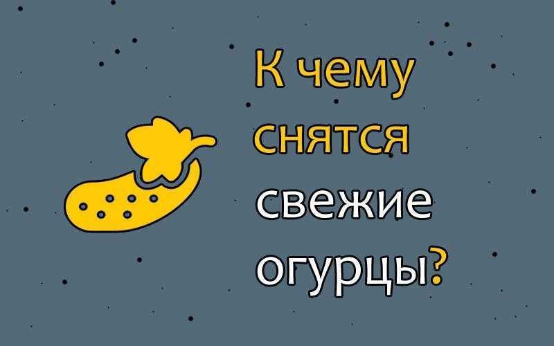 К чему снятся огурцы свежие или соленые? что значит видеть во сне огурцы на грядке?