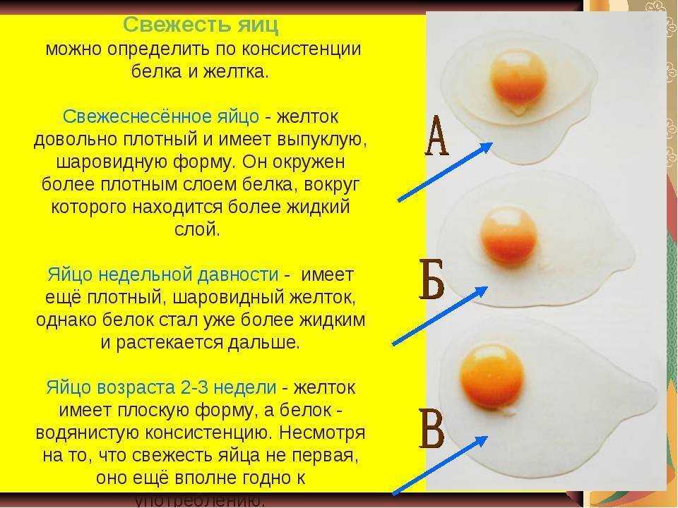 Почему куриные яйца разного цвета