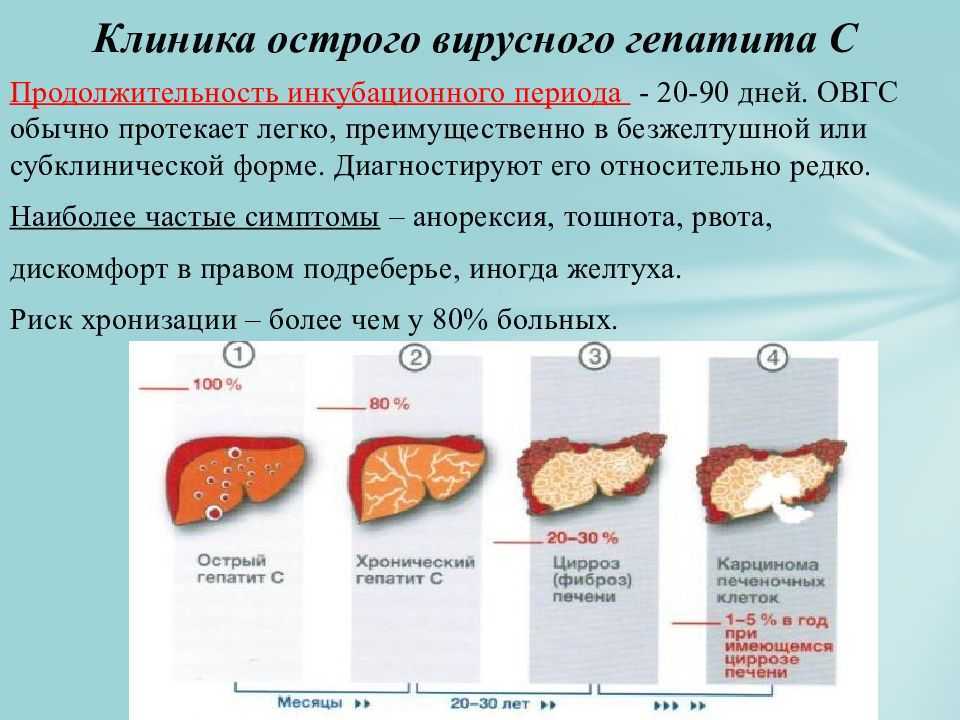 Диагностика функции печени, гепатопатий, вирусных гепатитов и пр.