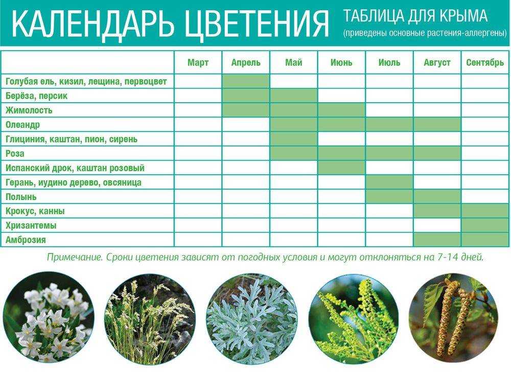 5 идеальных мест для отдыха астматиков