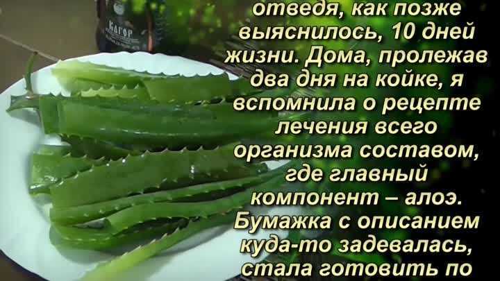 Настойка из алоэ меда и водки — применение и польза — полезные рецепты из алоэ