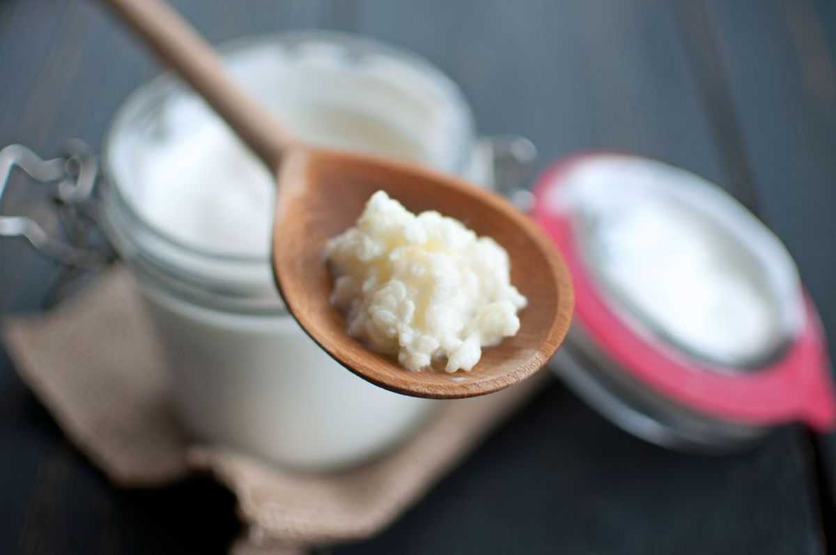 Ферментированные продукты — что это такое, польза и вред для организма