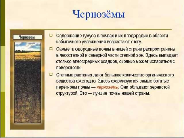 Как понять, что вы увидели вещий сон?