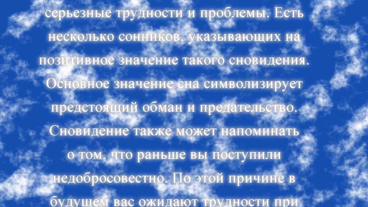 К чему снится крыса во сне?