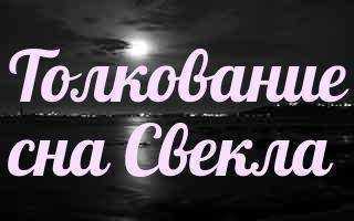 К чему снится свекла. видеть во сне свекла - сонник дома солнца