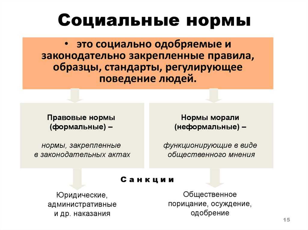 Социальные нормы поведения человека в обществе: понятие и виды социальных норм и правил